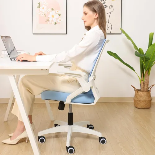 Miniatura 10 de Silla de oficina ergonómicamente diseñada con respaldo de malla transpirable y soporte lumbar, altura ajustable, adecuada para oficinas, hogares