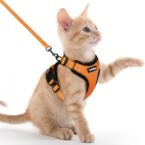 Miniatura 31 de rabbitgoo Juego de arnés y correa para gatos, arnés a prueba de escapes para paseos seguros al aire libre, chaleco suave transpirable ajustable