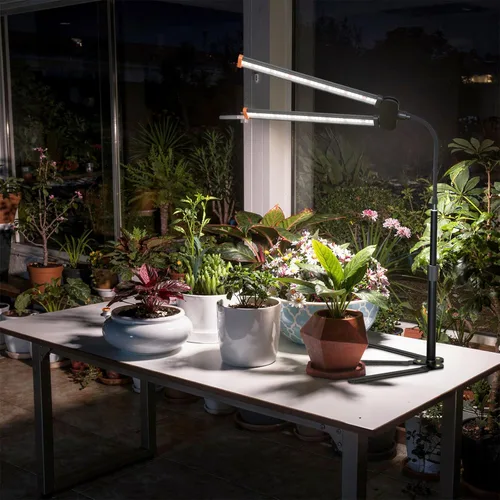 Miniatura 7 de Luz de cultivo para plantas de interior, lámpara de plantas de espectro completo de 6000 K con LED rojo, azul y blanco para cultivo de semillas