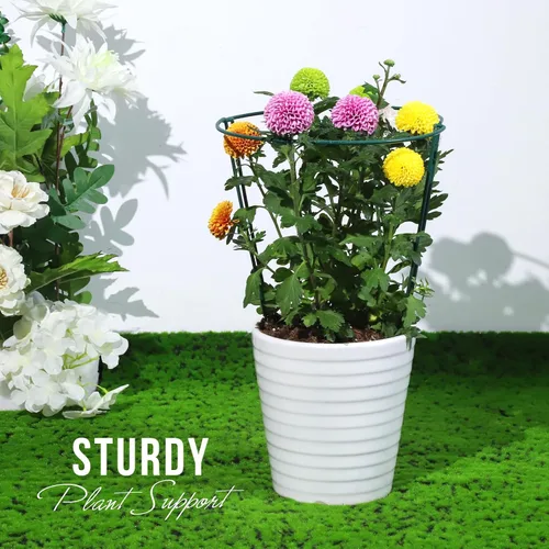 Miniatura 6 de LEOBRO Soporte para Plantas, 8 Jaulas y Soportes de Peonías, Estacas para Plantas de Interior, Plantas al Aire Libre, Soportes para Plantas, Jaula