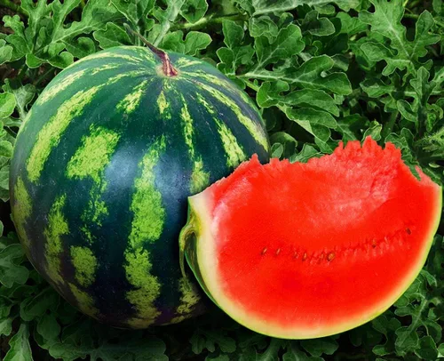 Miniatura 5 de Semillas Sandía Carmesí Frutas Dulces No GMO Heirloom