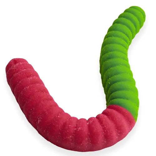 Miniatura 15 de Gusano de gomita gigante agrio – Caramelo de gomita grande de 2 libras con gran sabor picante de GGB Candies (cereza/naranja)