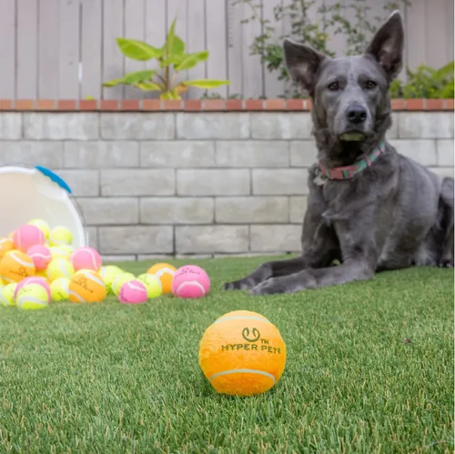 Miniatura 4 de Hyper Pet MINI pelotas de tenis para perros, juguetes seguros para perros y pelotas de tenis para ejercicio, entrenamiento, Hyper Pet K9 Kannon