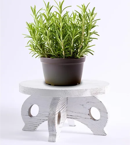 Miniatura 8 de Soporte Decorativo de Esquina para Plantas, Soportes de Madera para Plantas de Interior, Soporte para Plantas con Altura, Soportes Redondos