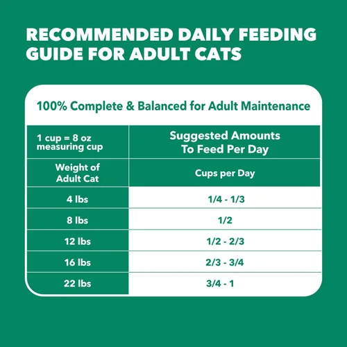 Miniatura 10 de Comida seca para gatos senior saludable IAMS Proactive Health con pollo, bolsa de 3.5 lb