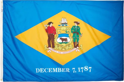 Miniatura 6 de Annin Flagmakers Bandera del estado de Delaware fabricada en Estados Unidos según las especificaciones de diseño oficiales del estado, 3 x 5 pies