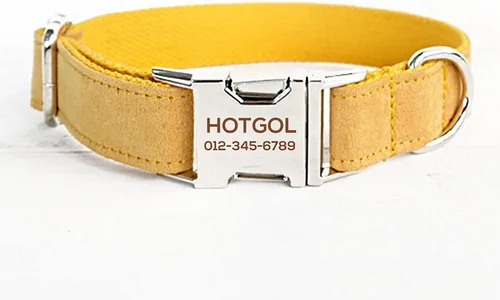 Miniatura 10 de Collares de perro personalizados con identificador de nombre grabado personalizado para mascotas para razas pequeñas medianas grandes (XS, azul)
