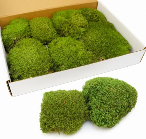 Miniatura 11 de TCYPUHL Cojín de musgo preservado verde oscuro de 1 pies cuadrados para plantas, manualidades de interior, arte de pared, bricolaje, terrarios