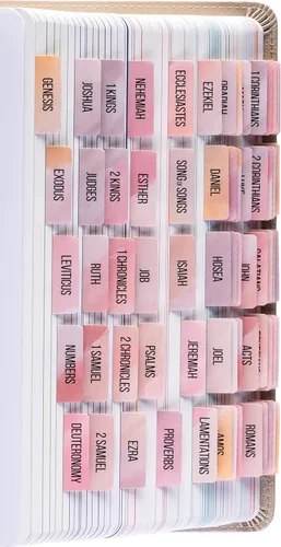 Miniatura 9 de DiverseBee Pestañas laminadas de la Biblia para mujeres (letra grande, fácil de leer), pestañas coloridas para libros de diario bíblico, regalo Rosa