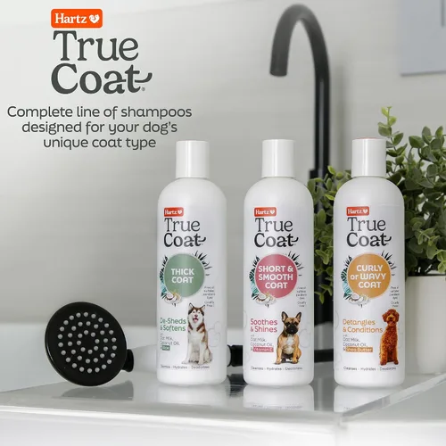 Miniatura 6 de True Coat Short & Smooth Coat - Champú para perros, 5 en 1, calma y brilla con leche de avena, aceite de coco y vitamina E, 16 onzas Corto y suave