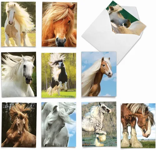 Miniatura 9 de The Best Card Company - Tarjetas de animales en blanco en caja, 4 x 5.12 pulgadas, mascotas surtidas, zoológico, tarjetas de vida silvestre