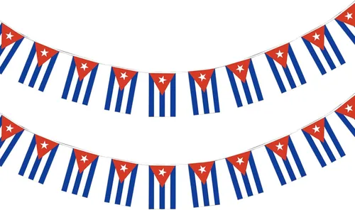 Miniatura 38 de Bandera de Francia Pequeña Mini Bandera Francesa Banner Decoraciones para Desfiles, Fiestas, Aulas, Jardines y Festivales (Francia)