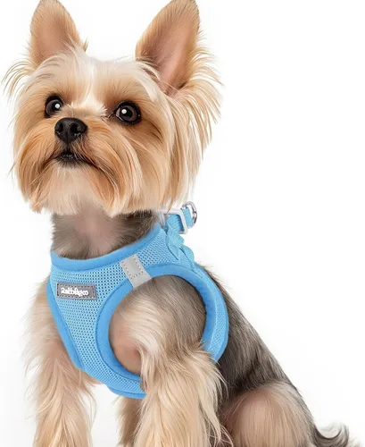 Miniatura 54 de rabbitgoo Arnés para perro pequeño, chaleco de malla suave para cachorros con hebilla de seguridad, arnés reflectante transpirable para mascotas