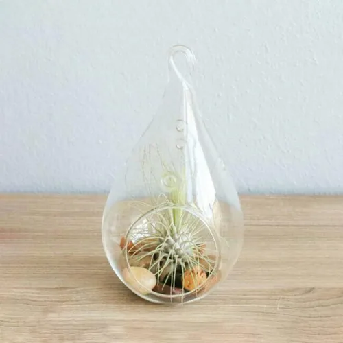 Miniatura 9 de HANABASS 2 piezas de globos de cristal colgantes en forma de lágrima portavelas para plantas, terrario, orbes de aire, Tillandsia, suculentas