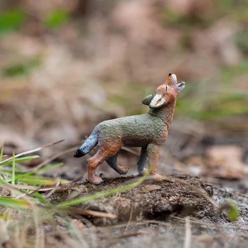Miniatura 5 de Safari Ltd. Coyote - Figura de modelo realista de 2.5 pulgadas, juguete educativo para niños, niñas y niños a partir de 1 año
