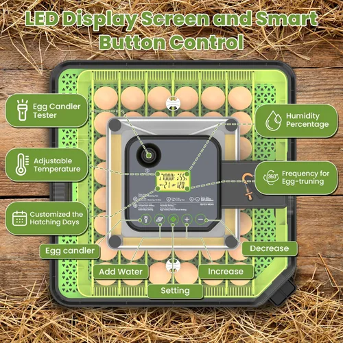 Miniatura 2 de Incubadora de 48 huevos para incubar huevos con giro automático de huevos, control de temperatura y humedad, incubadora de huevos con ventana