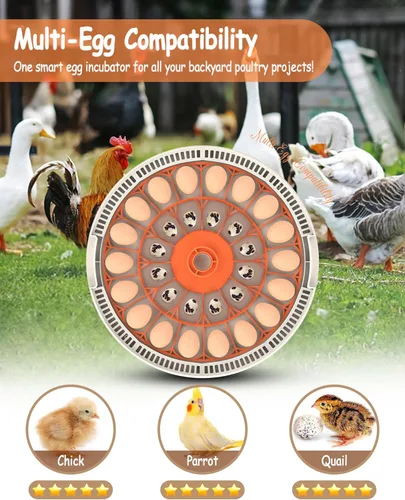 Miniatura 6 de 30 incubadoras de huevos para incubar huevos con girador automático de huevos, control automático de temperatura, velas LED, monitor de humedad