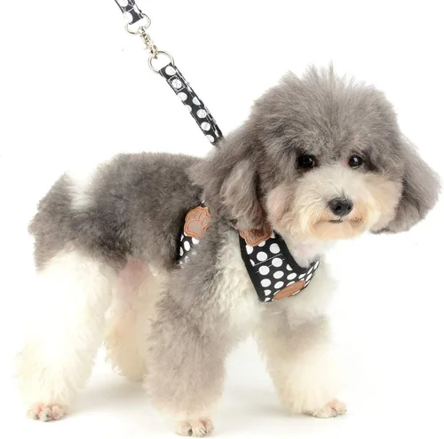 Miniatura 6 de SMALLLEE_Lucky_Store - Nuevo chaleco de nailon de malla suave, Arnés para mascotas, gatos, perros chicos o medianos, Juego de correa para perro