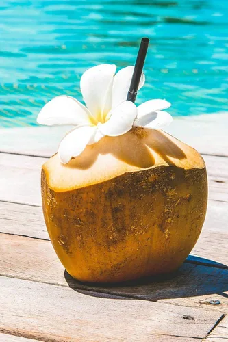 Miniatura 3 de Árbol de coco, amarillo (excluye Ca), 36 pulgadas