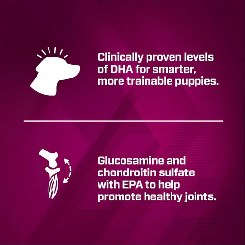 Miniatura 7 de Eukanuba Premium Performance Puppy Pro - Alimento seco para cachorros, bolsa de 4 libras