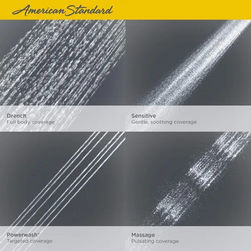 Miniatura 5 de American Standard Regadera 9038254.002 Spectra Dou 1.8 CH 1.8, 9038254.295 cepillado níquel