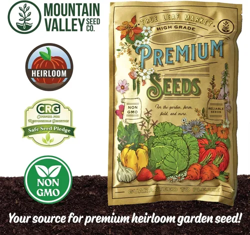 Miniatura 6 de Mountain Valley Seeds - Semillas de trébol holandés blanco - Semillas de césped, pastos y cultivos de cobertura (1 onza)