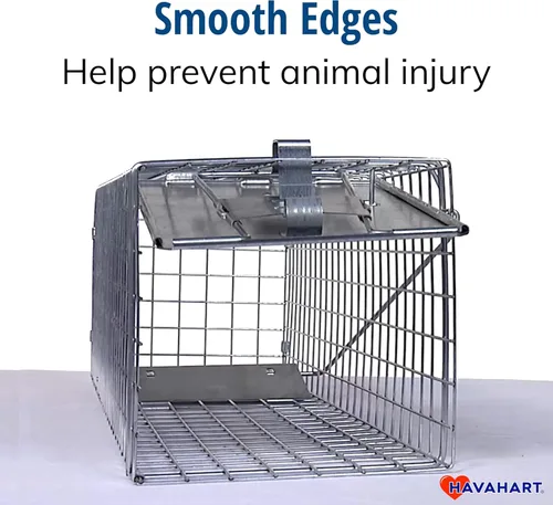 Miniatura 9 de Havahart Trampa mediana para animales de captura y liberación humana de 1 puerta para conejo, mofeta, visón y ardilla, trampa de captura en vivo