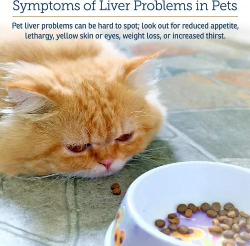 Miniatura 4 de Rx Vitamins Hepato Support para perros y gatos - Suplemento de apoyo hepático con cardo mariano para perros y gatos - Suplemento hepático