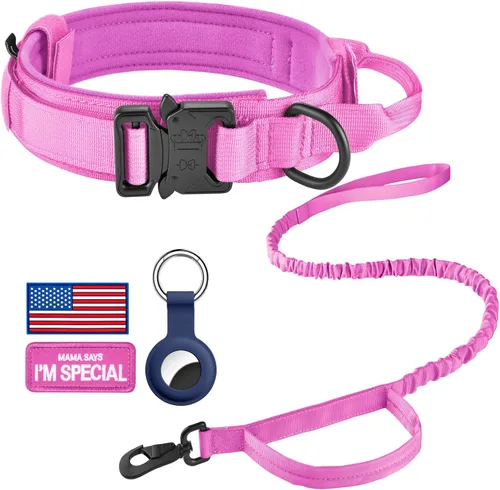Miniatura 24 de DAGANXI Collar táctico para perro, collar ajustable de nailon para entrenamiento militar con asa de control y hebilla de metal pesado para perros