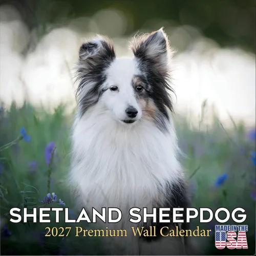 Miniatura 110 de Calendario amarillo 2025 2026 de Labrador Pups – Calendario mensual de pared de raza de perro – 12" x 24" abierto – Papel grueso anti-traspaso