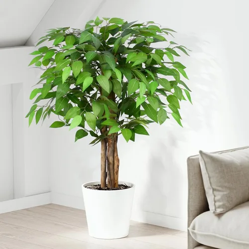 Árboles artificiales de ficus de 3 pies con troncos naturales curvados, árbol exuberante de 36" de altura, árbol falso de ficus realista en verde