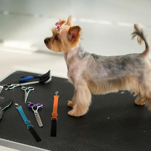 Miniatura 3 de Paterr 5 piezas de accesorios de brazo de aseo para perros y mascotas, correa de extensión, bucles de aseo ajustables, extensor de brazo de aseo