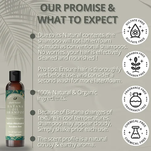Miniatura 4 de Batana Oil for Hair Growth Shampoo con romero – Champú de aceite de batana sin sulfatos ni parabenos – Champú nutritivo y rejuvenecedor