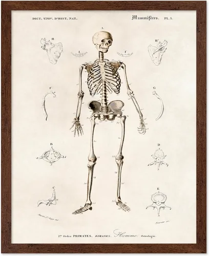 Miniatura 38 de Poster Master Póster de fotografía vintage, impresión gótica retro, regalo para artista, amigo, Halloween, familia espeluznante, disfraz extraño