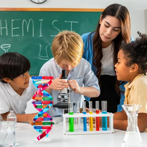 Miniatura 5 de NUOBESTY Kit de modelo de ADN, modelo de estructura de doble hélice, 13 pulgadas para ensamblar ayuda docente de biología con soporte
