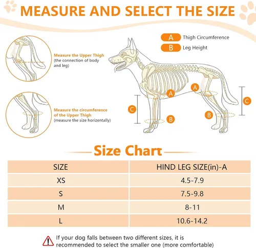 Miniatura 6 de Soporte de ACL para perro con 10 cadenas de apoyo mejoradas – Proporciona apoyo adicional para piernas traseras, lesiones de ACL y articulaciones