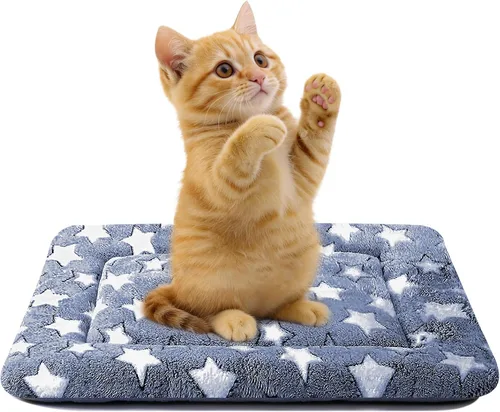 Miniatura 42 de Alfombrilla para Cama de Perro – Almohadilla de Perrera Suave y Cómoda para Jaula – Cama y Almohadilla Duradera para Perros y Gatos – Ideal para Gris