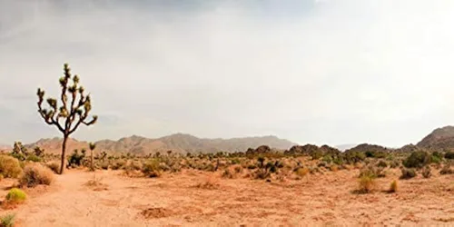 Miniatura 10 de YongFoto Fondo de fotos de poliéster con vista del desierto de cactus, arbusto verde, rocoso, morado, roca salvaje oeste, paisaje natural, fondo