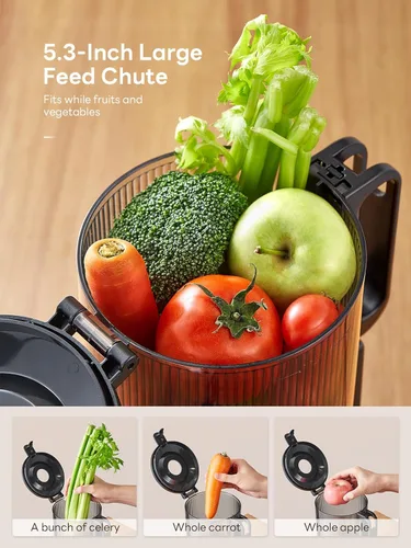 Miniatura 2 de Reemix Máquina exprimidora con canal de alimentación grande, exprimidor de masticación lenta con doble cerradura de seguridad, fácil de limpiar