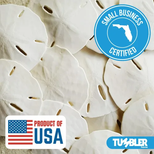 Miniatura 7 de Dólares de arena blanca de 2.5 a 3 pulgadas - 10 piezas - Artesanía de conchas marinas de boda - Seleccionado a mano y empaquetado profesionalmente