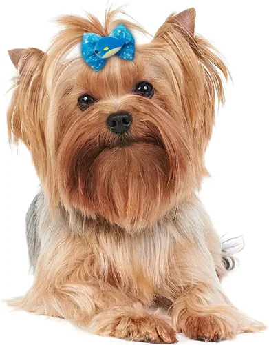 Miniatura 5 de 24 unids/12 pares de lazos para el pelo de perro con banda de goma, patrón de animales marinos de verano para niña, macho, hembra, pequeño, mediano