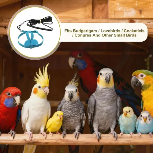 Miniatura 5 de Correa de arnés para pájaros, arnés ajustable para pájaros y loros para mascotas, ligera, antimordeduras, cuerda de entrenamiento de vuelo con linda