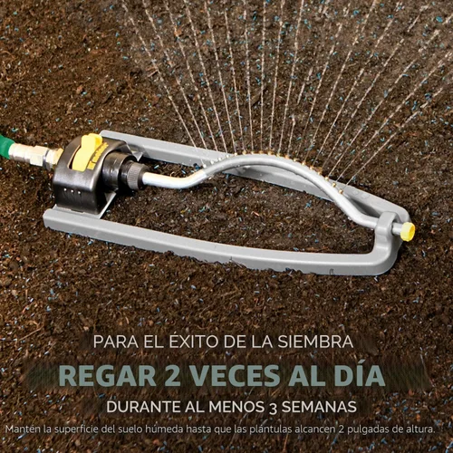 Miniatura 7 de Scotts – Mezcla de semillas de césped Turf Builder Sun & Shade con fertilizante y mejorador de suelo, prospera en diversas condiciones, 16 libras