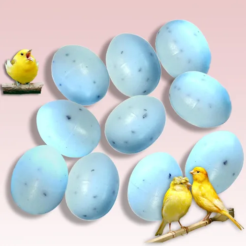 Huevos falsos de plástico canario para dejar de criar la colocación! 7 huevos falsos realistas moteados azul-verde, seguros no pintados, no tóxicos,