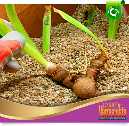 Miniatura 3 de Vermiculita gruesa – Fabricado en Estados Unidos para todas las plantas de interior/exterior y jardines de flores – Acondicionador aditivo