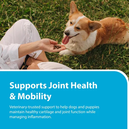 Miniatura 3 de PRN Pharmacal Duralactin Canine Joint Plus Soft Chews - Suplemento de salud articular para perros y cachorros - Apoyo de movilidad de mascotas - 60