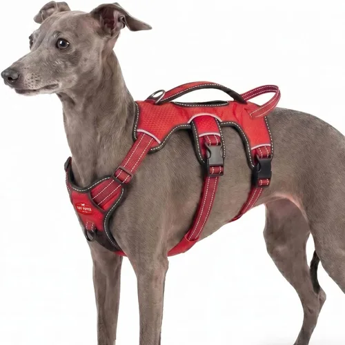 Tuff Pupper Arnés para perro sin escape a prueba de escape, arnés ajustable de 5 puntos para perros, arneses acolchados para perros, arneses de