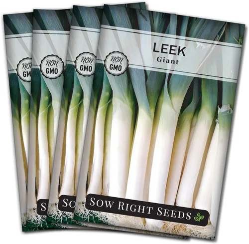 Miniatura 9 de Sow Right Seeds - Semillas de puerro gigantes para plantar - Paquete de reliquia sin OMG con instrucciones para plantar y cultivar un huerto