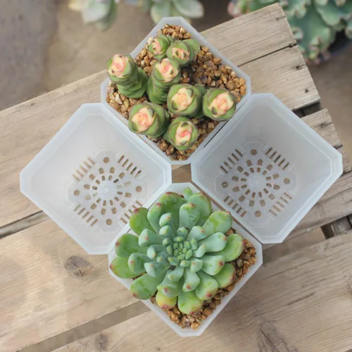 Miniatura 5 de Paquete de 120 macetas pequeñas de plástico transparente de 2.70 pulgadas para vivero y semillero, maceta de trasplante de inicio de semillas