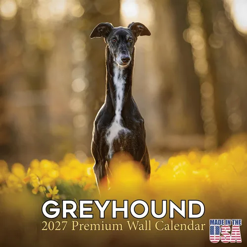 Miniatura 182 de Calendario 2025 2026 de cachorros Cocker Spaniel - Calendario mensual de pared de raza de perro - 12" x 24" abierto - Papel grueso sin sangrado
